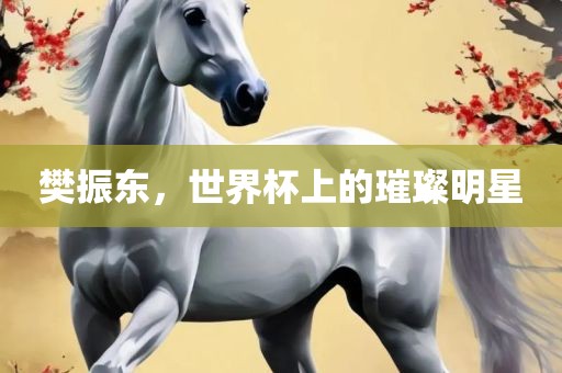 樊振东，世界杯上的璀璨明星