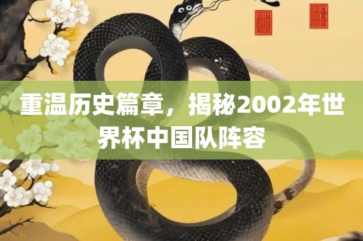 重温历史篇章，揭秘2002年世界杯中国队阵容