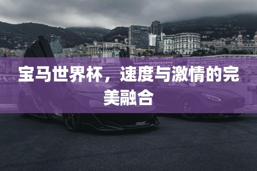 宝马世界杯，速度与激情的完美融合