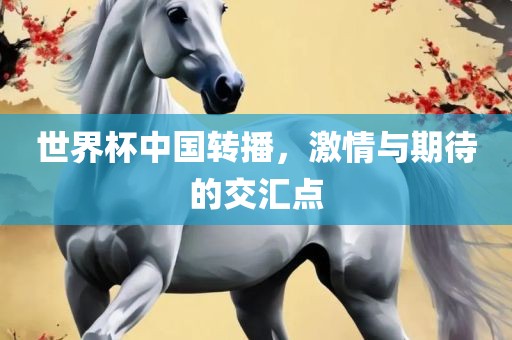 世界杯中国转播，激情与期待的交汇点
