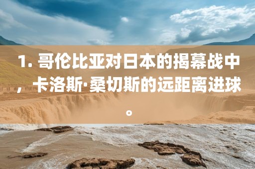 1. 哥伦比亚对日本的揭幕战中，卡洛斯·桑切斯的远距离进球。漯河市盈旭机械设备有限公司