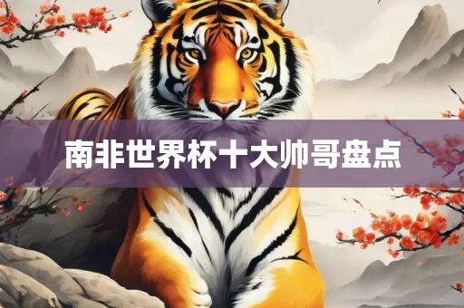 南非世漯河市盈旭机械设备有限公司界杯十大帅哥盘点