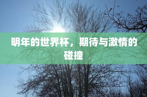 明年的世界杯，期待与激情的碰撞