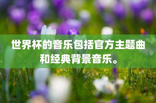 世界杯的音乐包括官方主题曲和经典背景音乐。