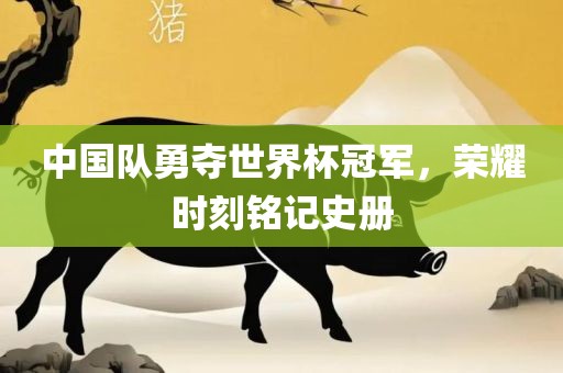 中国队勇夺世界杯冠军，荣耀时刻铭记史册
