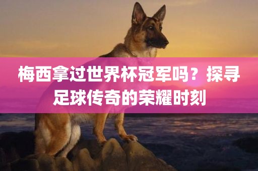 梅西拿过世界杯冠军吗？探寻足球传奇的荣耀时刻漯河市盈旭机械设备有限公司