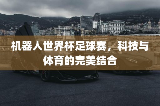 机器人世界杯足球赛，科技与体育的完美结合漯河市盈旭机械设备有限公司