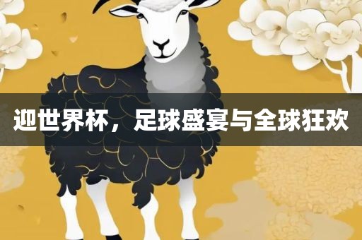 迎世界杯，足球盛宴与全球狂欢漯河市盈旭机械设备有限公司