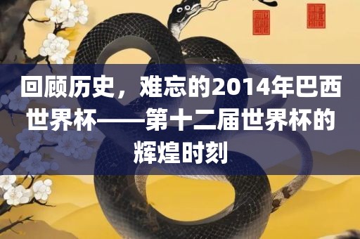 回顾历史，难忘的2014年巴西世界杯——第十二届世界杯的辉煌时刻