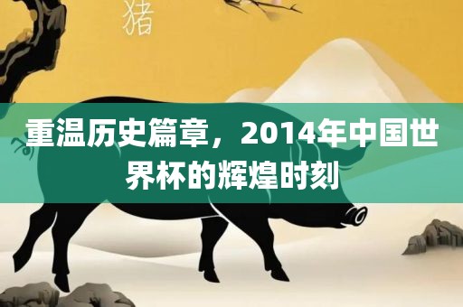 重温历史篇章，2014年中国世界杯的辉煌时刻