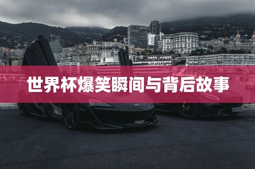 世界杯爆笑瞬间与背后故事漯河市盈旭机械设备有限公司