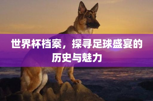 世界杯档案，探寻足球盛宴的历史与魅力漯河市盈旭机械设备有限公司