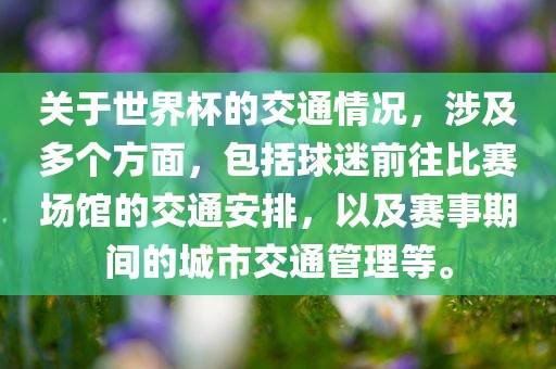 关于世界杯的交通情况，涉及多个方面，包括球迷前往比赛场馆的交通安排漯河市盈旭机械设备有限公司，以及赛事期间的城市交通管理等。
