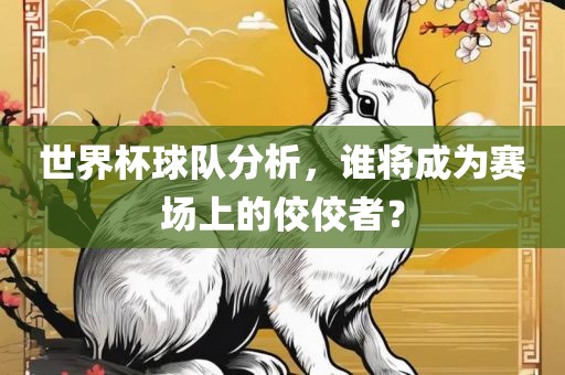 世界杯球队分析，谁将成为赛场上的佼佼者？