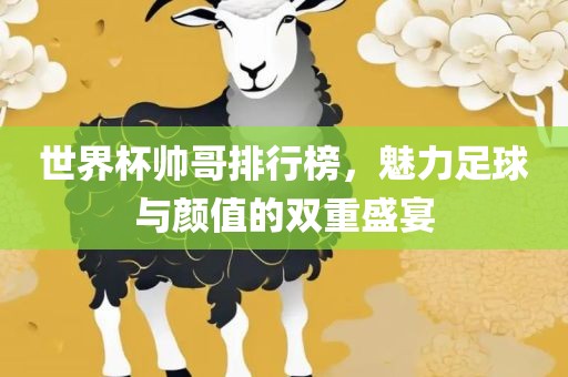 世界杯帅哥排行榜，魅力足球与颜值的双重盛宴漯河市盈旭机械设备有限公司