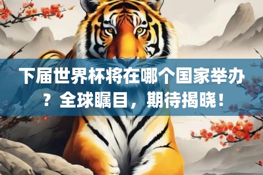 下届世界杯将在哪个国家举办？全球瞩目，期待揭晓！