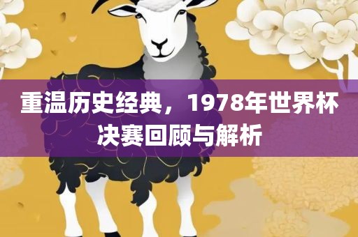 重温历史经典，1978年世界杯决赛回顾与解析