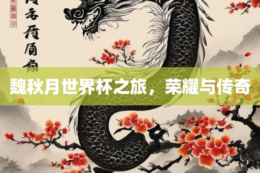 魏秋月世界杯之旅，荣耀与传奇漯河市盈旭机械设备有限公司