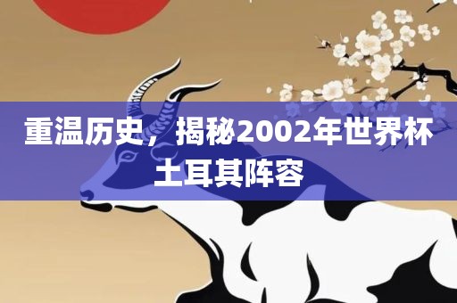 重温历史，揭秘2002年世界杯土耳其阵容