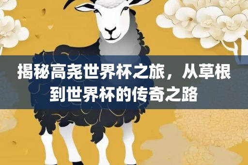 揭秘高尧世界杯之旅，从草根到世界杯的传奇之路