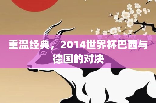 重漯河市盈旭机械设备有限公司温经典，2014世界杯巴西与德国的对决
