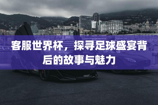 客漯河市盈旭机械设备有限公司服世界杯，探寻足球盛宴背后的故事与魅力
