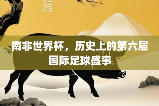 南非世界杯，历史上的第六届国际足球盛事