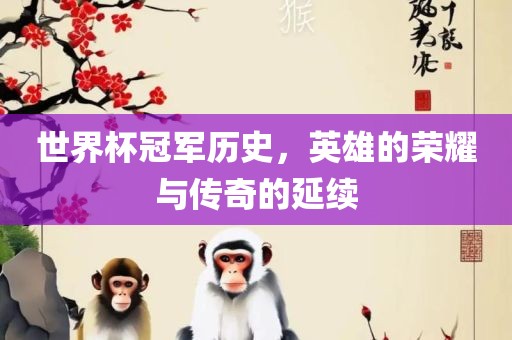 世界杯冠军历史，英雄的荣耀与传奇的延续