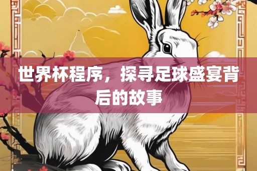 世界杯程序，探寻足球盛宴背后的故事