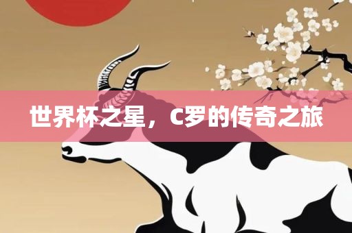 世界杯之星，C罗的传奇之旅
