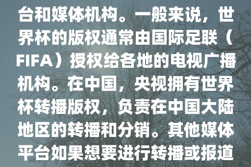 关于2018年世界杯的版权问题，涉及多个国家和地区的电视台和媒体机构。一般来说，世界杯的版权通常由国际足联（FIFA）授权给各地的电视广播机构。在中国，央视拥有世界杯转播版权，负责在中国大陆地区的转播和分销。其他媒体平台如果想要进行转播或报道，通常需要获得央视的授权或许可。漯河市盈旭机械设备有限公司