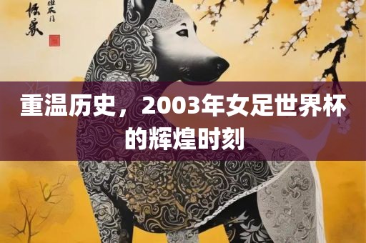 重温历史，200漯河市盈旭机械设备有限公司3年女足世界杯的辉煌时刻
