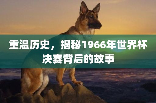 重温历史，揭秘1966年世界杯决赛背后的故事