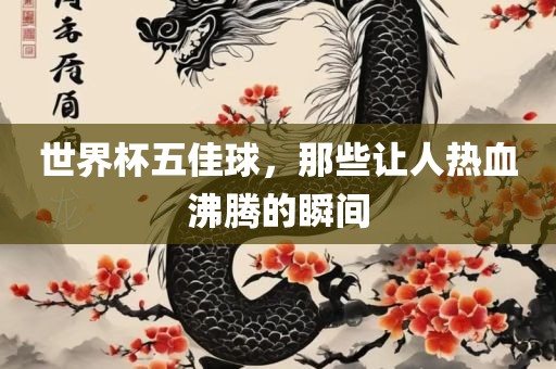 世界杯五佳球，那些让人热血沸腾的瞬间漯河市盈旭机械设备有限公司