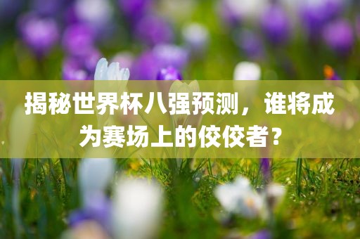 揭秘世界杯八强预测，谁将成为赛场上的佼佼者？