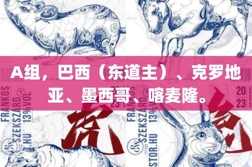 A组，漯河市盈旭机械设备有限公司巴西（东道主）、克罗地亚、墨西哥、喀麦隆。