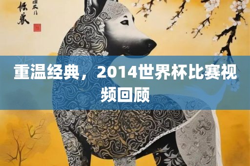重温经典，2014世界杯比赛视频回顾漯河市盈旭机械设备有限公司