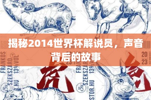 揭秘2014世界杯解说员，声音背后的故事