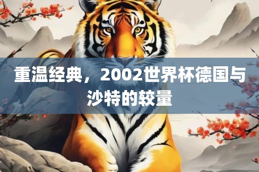 重温经典，2002世界杯德国与沙特的较量漯河市盈旭机械设备有限公司