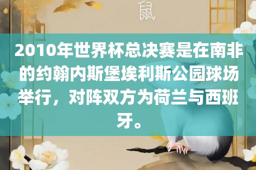 2010年世界杯总决赛是在南非的约翰内斯堡埃利斯公园球场举行，对阵双方为荷兰与西班牙。