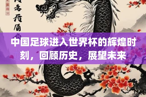 中国足球进入世界杯的辉煌时刻，回顾历史，展望未来漯河市盈旭机械设备有限公司