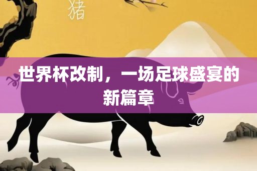 世界杯改制，一场足球盛宴的新篇章漯河市盈旭机械设备有限公司