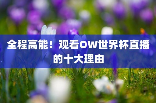 全程高能！观看OW世界杯直播的十大理由
