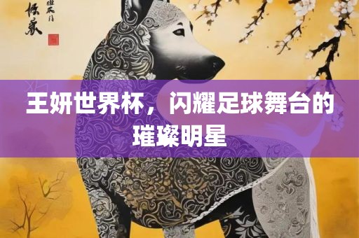 王妍世界杯，闪耀足球舞台的璀璨明星漯河市盈旭机械设备有限公司