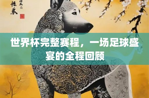 世界杯完整赛程，一场足球盛宴的全程回顾