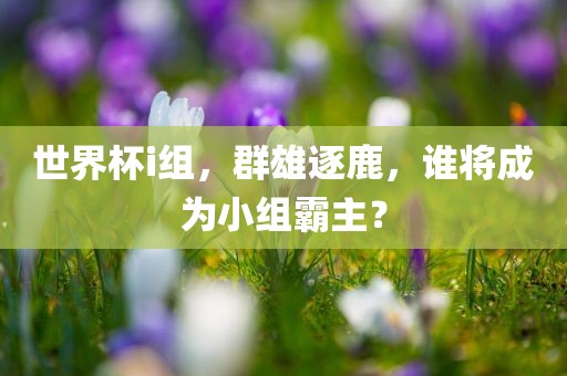 世界杯i组，群雄逐鹿，谁将成为小组霸主？