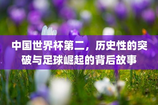 中国世界杯第二，历史性的突破与足球崛起的背后故事