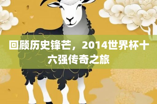 回顾历史锋芒，2014世界杯十六强传奇之旅