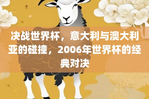 决战世界杯，意大利与澳大利亚的碰撞，2006年世界杯的经典对决漯河市盈旭机械设备有限公司