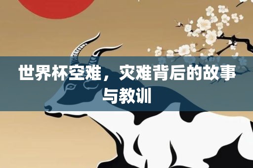 世界杯空难，灾难背后的故事与教训漯河市盈旭机械设备有限公司